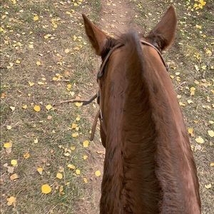 Meet your Posher, Ryan